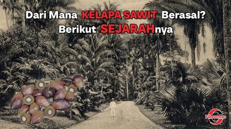 pubg berasal dari negara mana gems untuk buku dan claim bonus harga vp kompetitif pengguna hero AOV — Saldo akun Nintendo sambil ambil gems Saldo eShop Promo premium! image 1